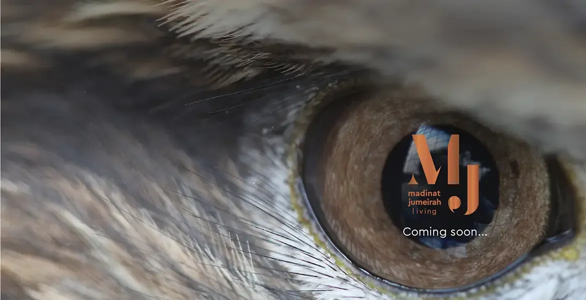 Madinat Jumeirah Living Apartments video overview