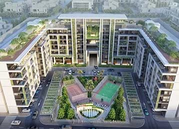 Petalz by Danube video overview